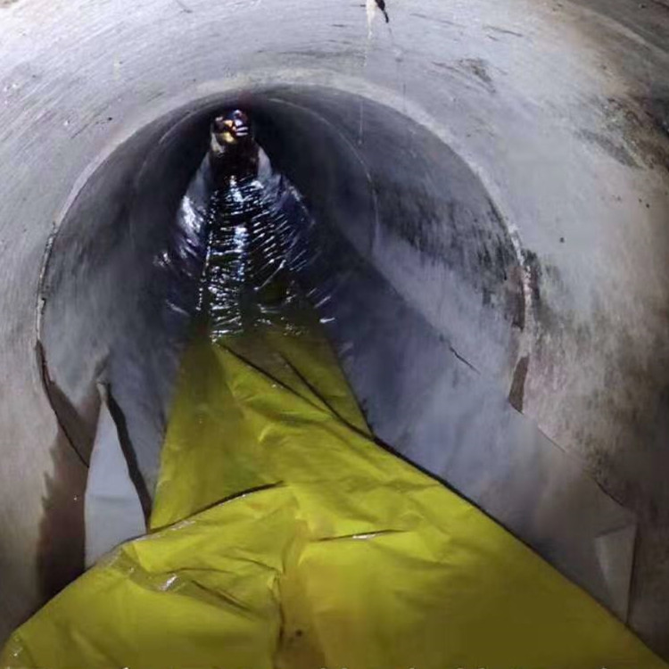 治多管道光固化修复